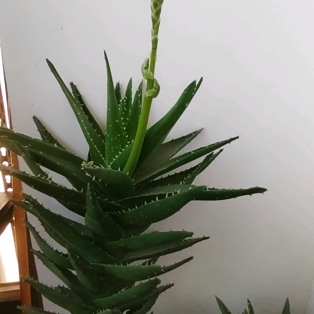 别问我！！！我不知道