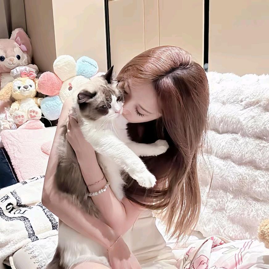 @梅姐姐😘