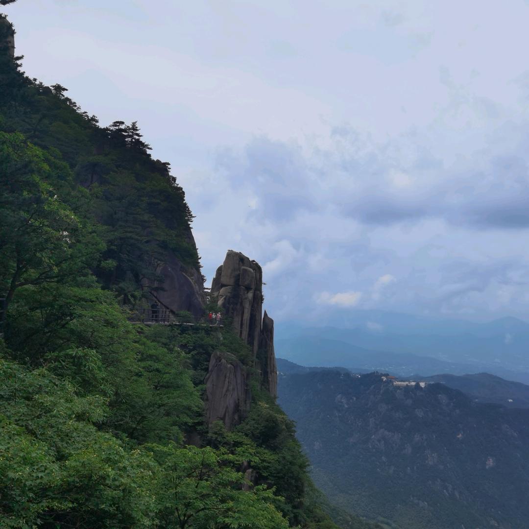 幸福的鼠