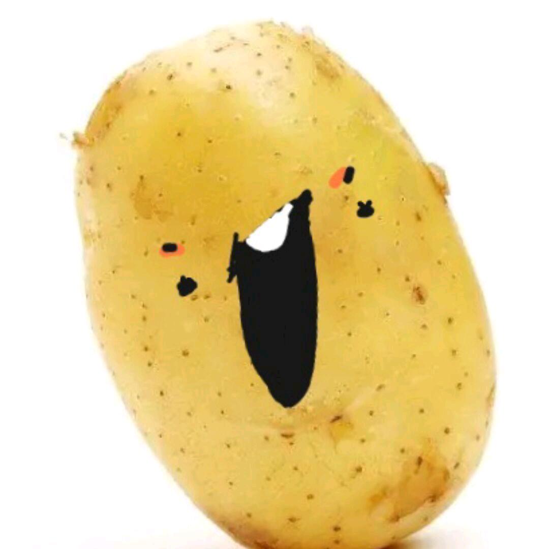 土豆