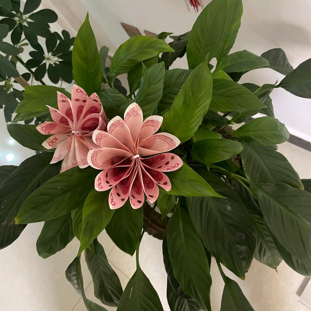 心花怒放