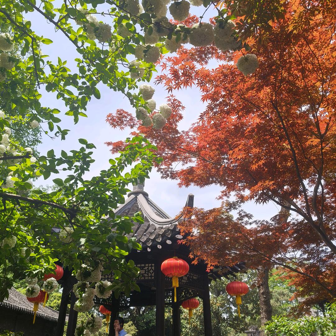 时来运转