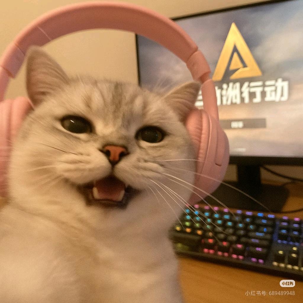 哈基花鼠掉了（脆皮鼠鼠）