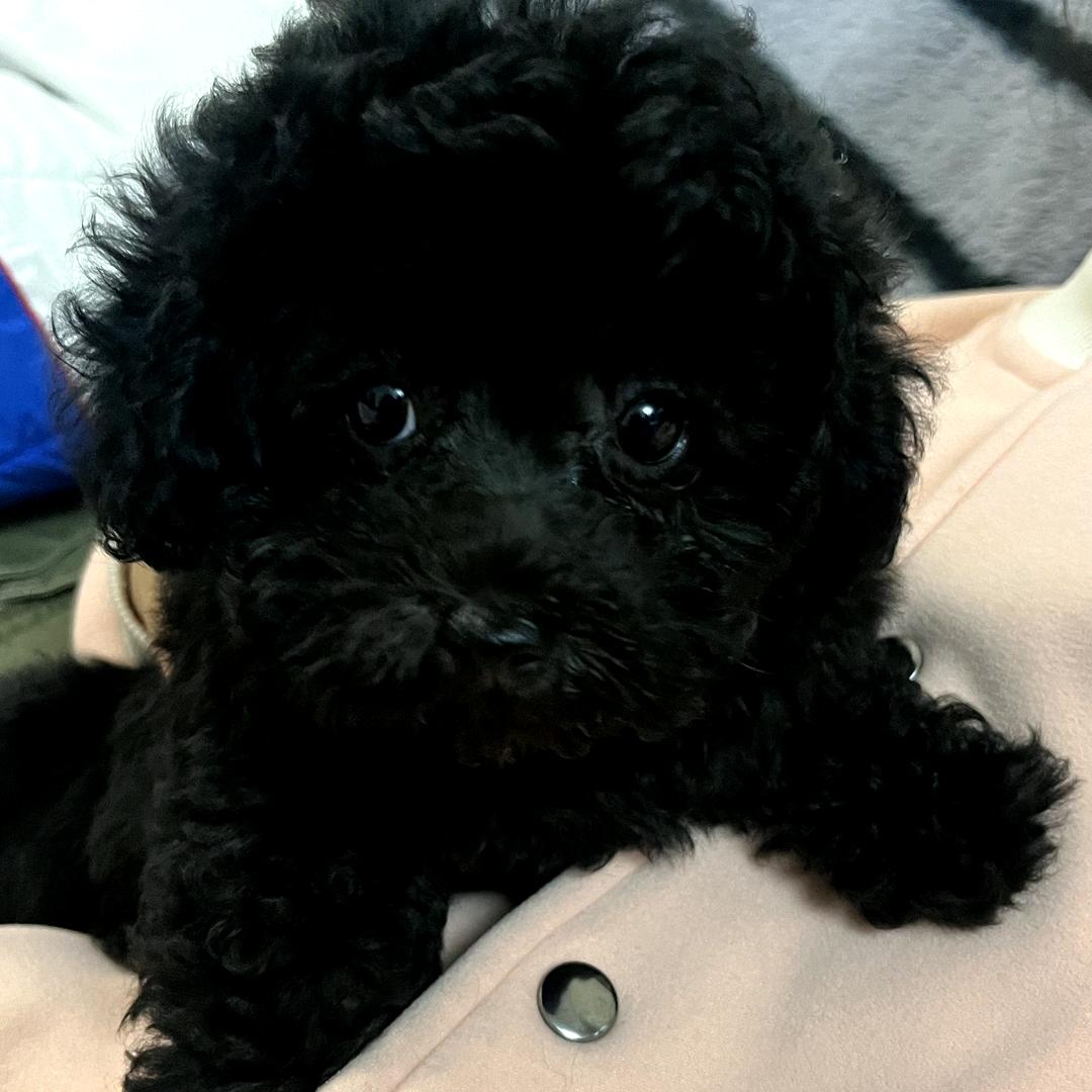 绵绵☁️日常生活