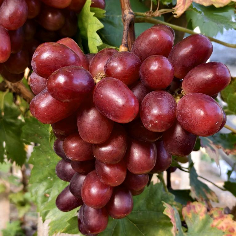 💕ꦿ҉好ᨶ႒ᩚ运ᥫᩣ໌້ᮨ加满✨