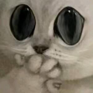 AI袁