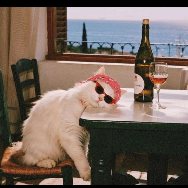 玛卡巴卡的小推车.