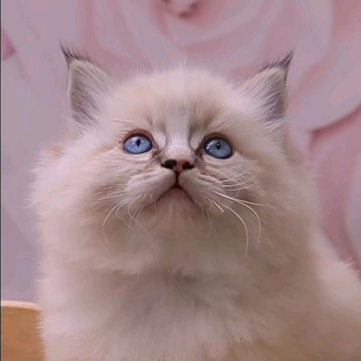 💨风男