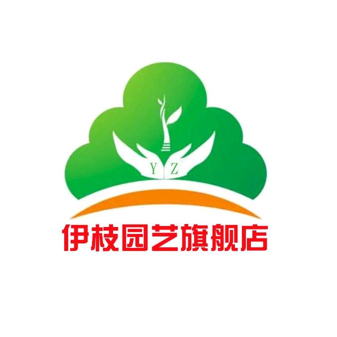 伊枝沭阳鸿蕾园林绿化有限公司园艺专卖店