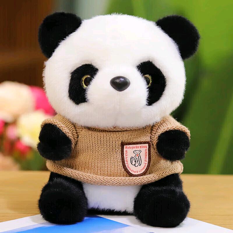 山东战老师