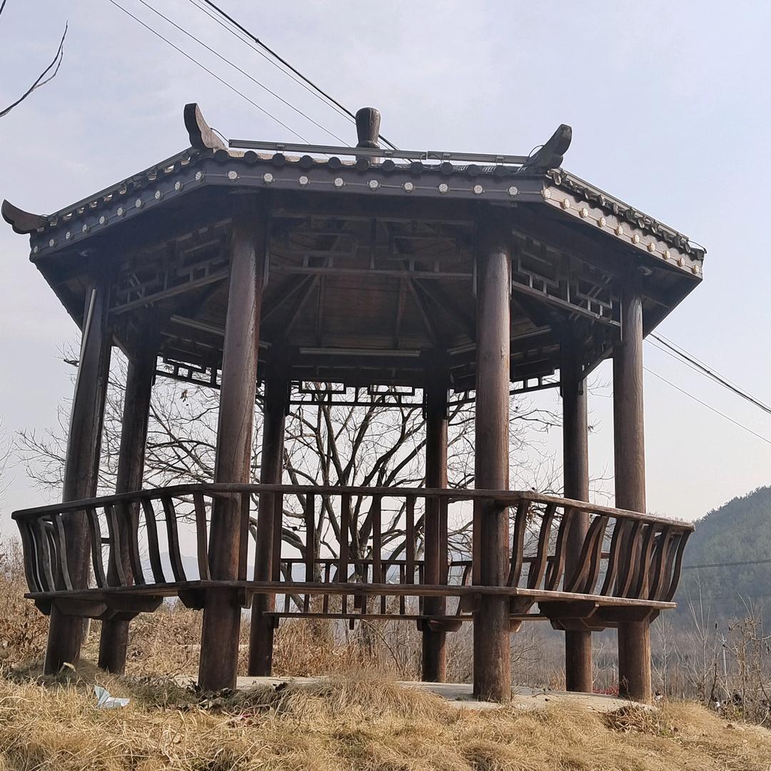 喜欢爱拼才会赢