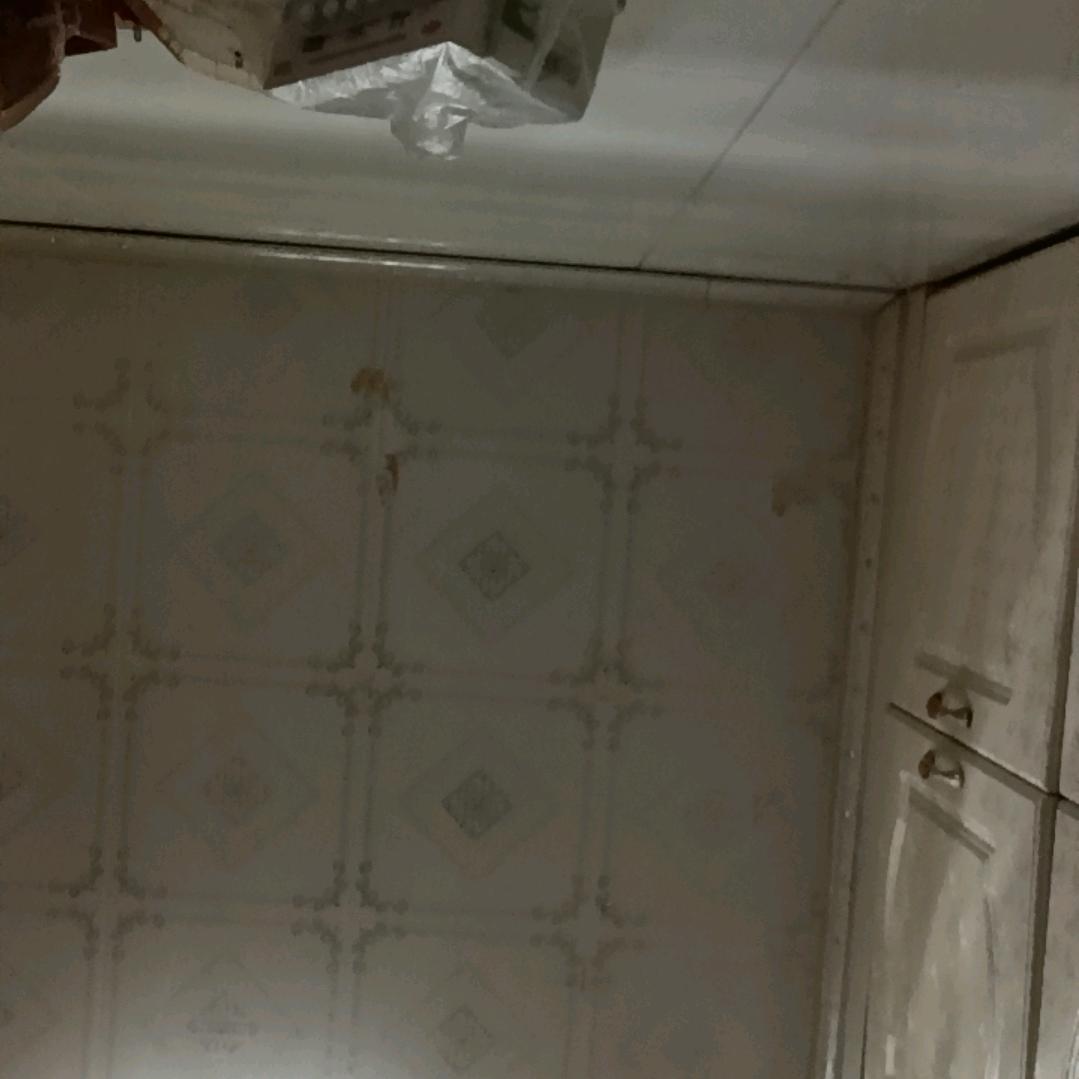 大眼珠子贼大