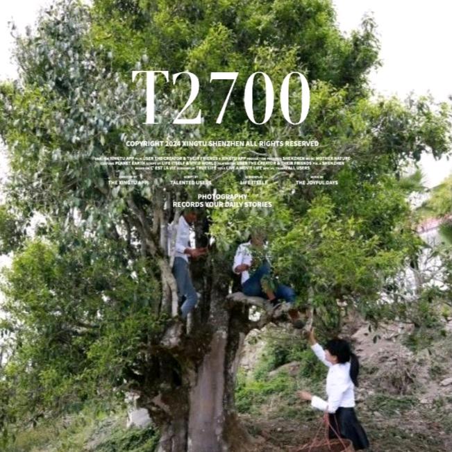 昌宁贰仟柒茶叶有限公司
