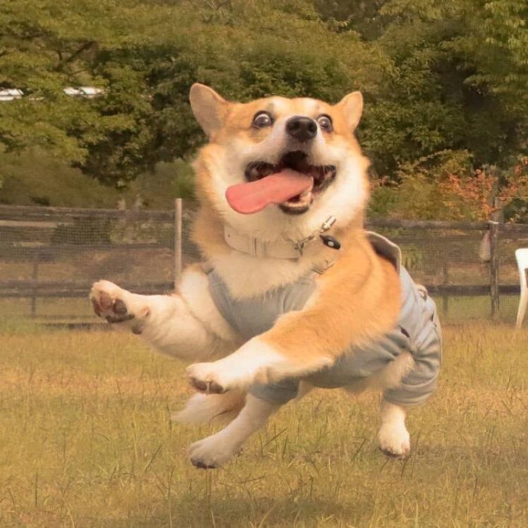 门前大桥下～