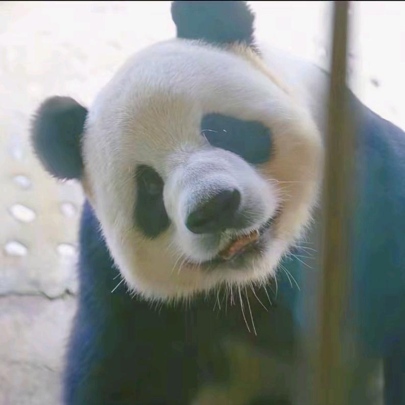 悠米宝贝