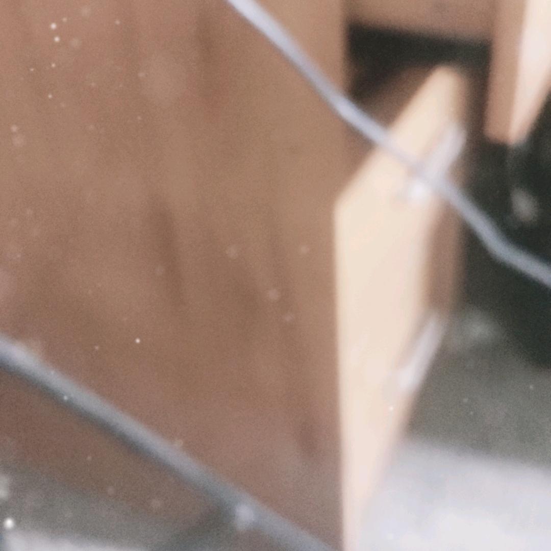 观颜猫