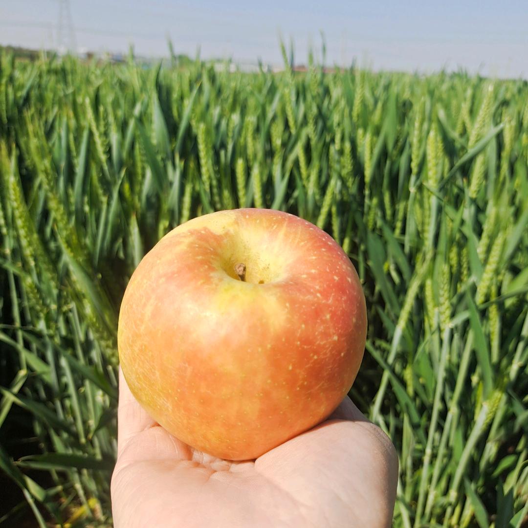 《靠谁也不如靠自己》👧🏻