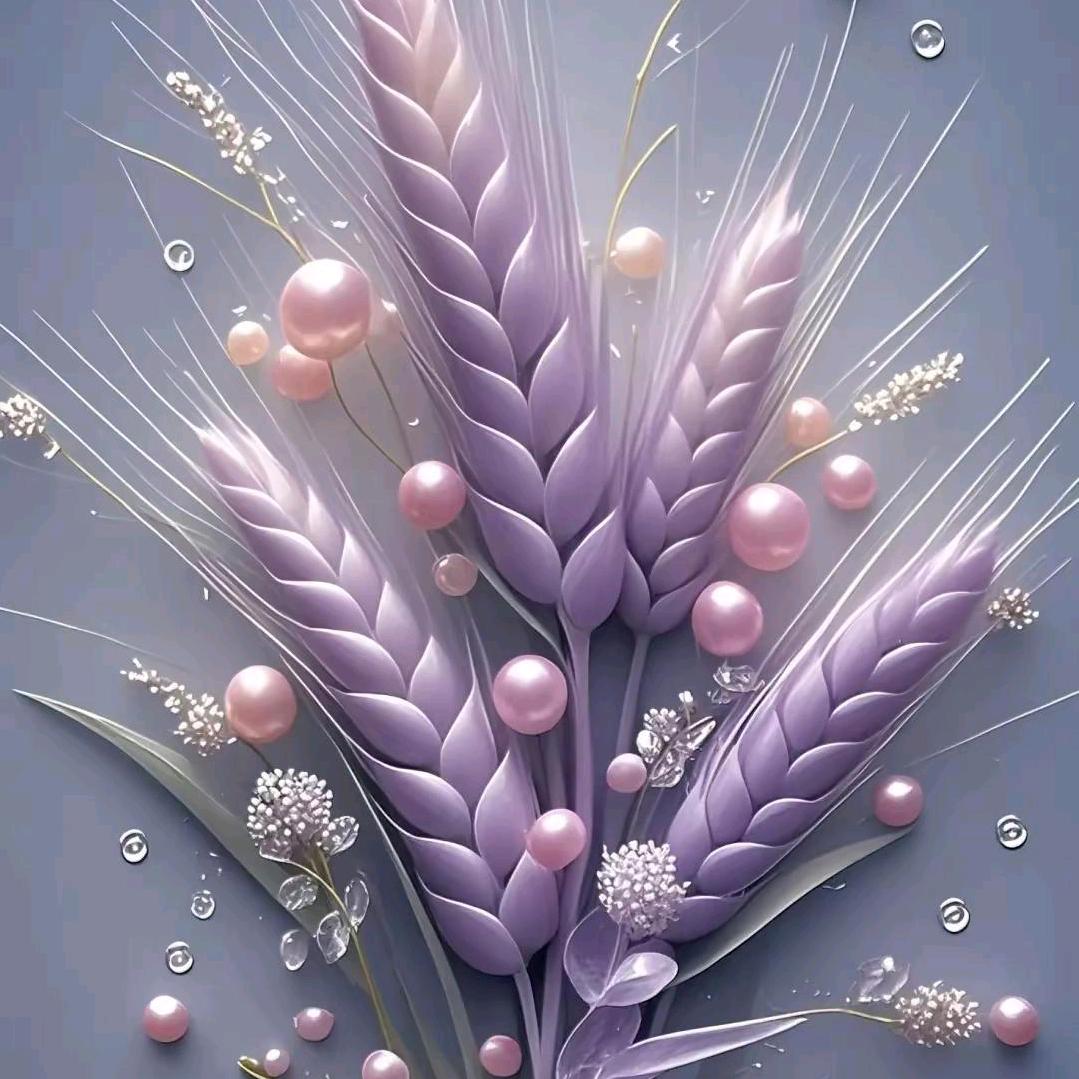 🌸棉花糖🌸
