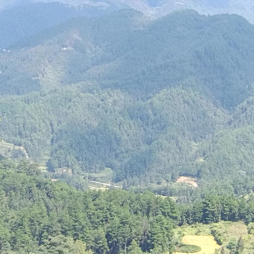 🇨🇳新航泰🇨🇳