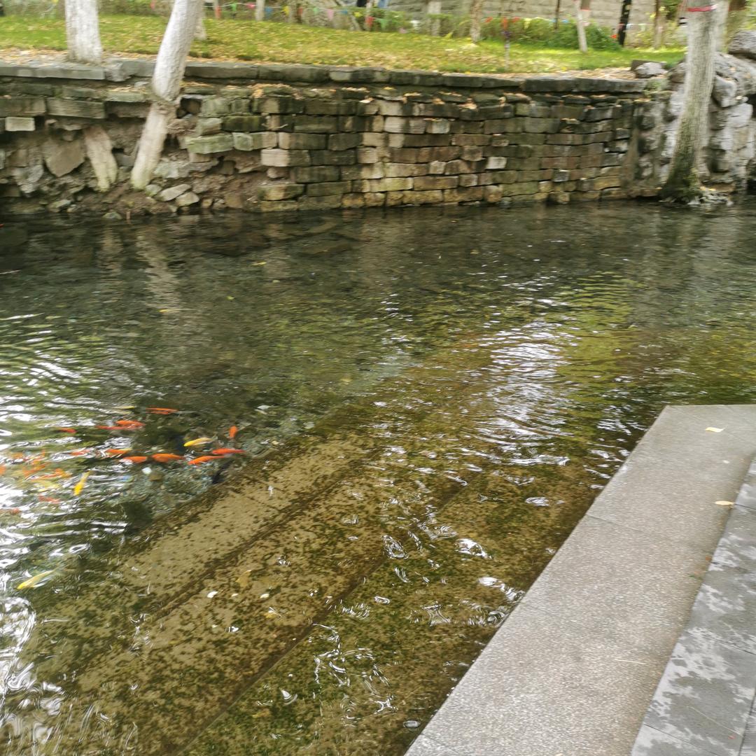 ღꦿ꯭乖就不凶꧔ꦿ᭄ xcsksq520