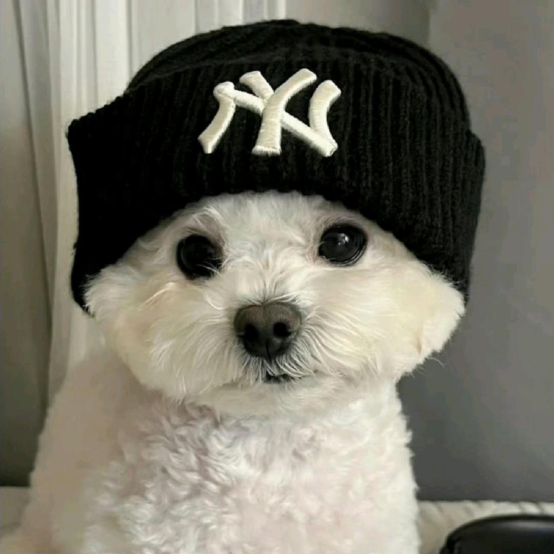 剑无极🤟