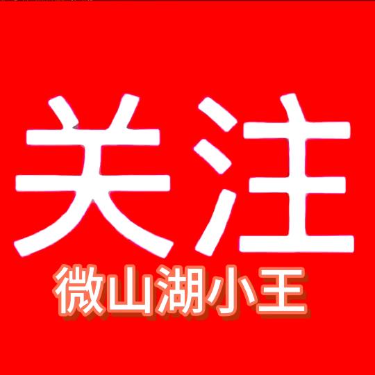 微山湖小王