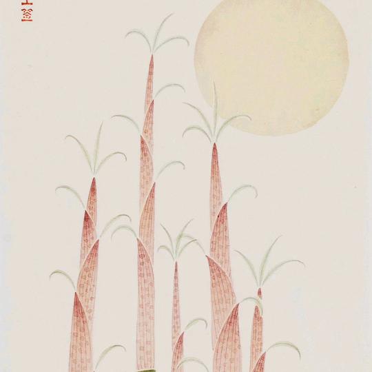 有志青年
