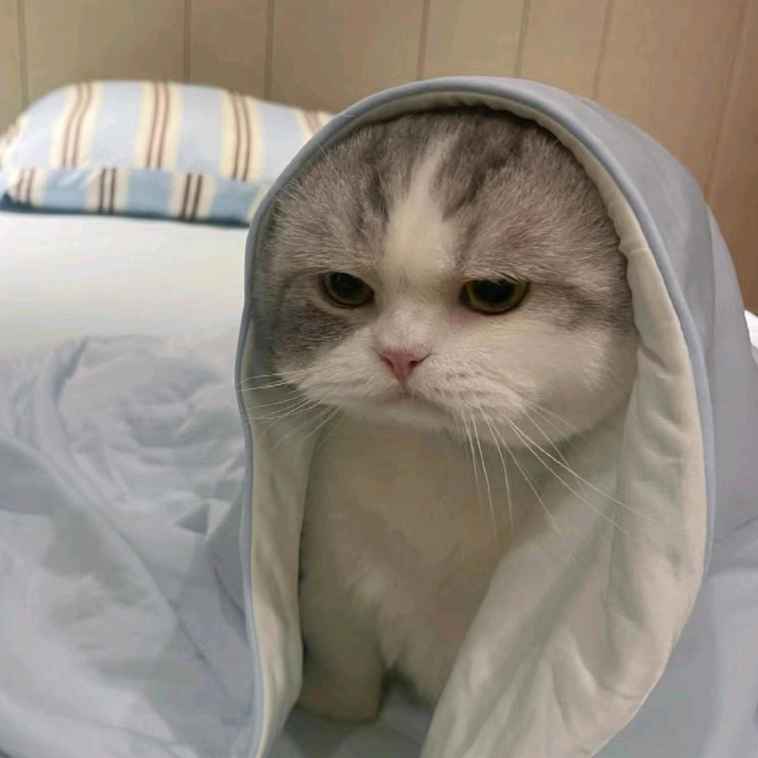一下