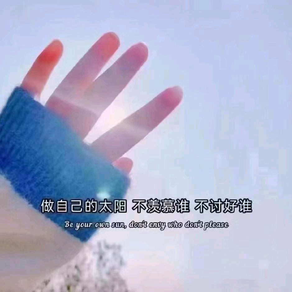 my燕子