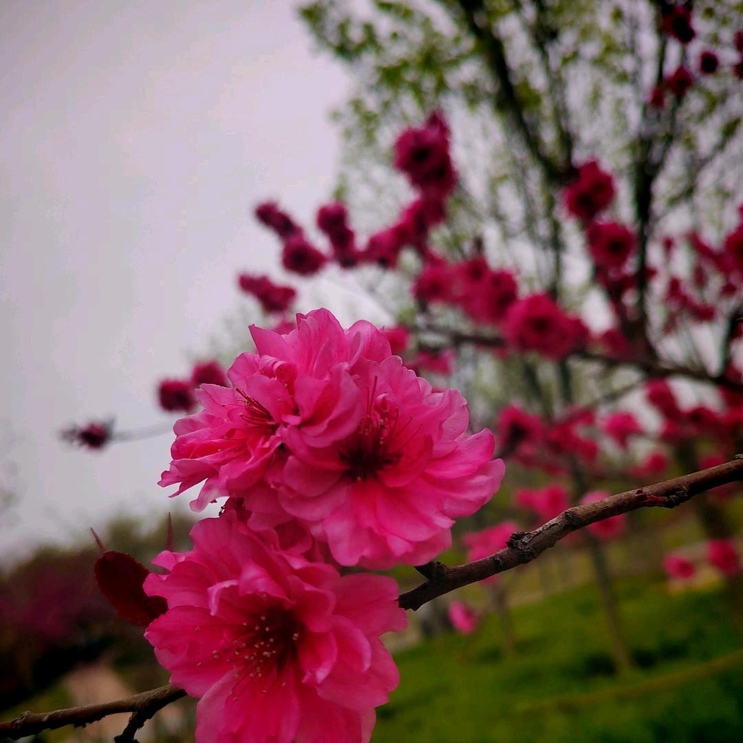 期待更好🌹🌹❤️❤️