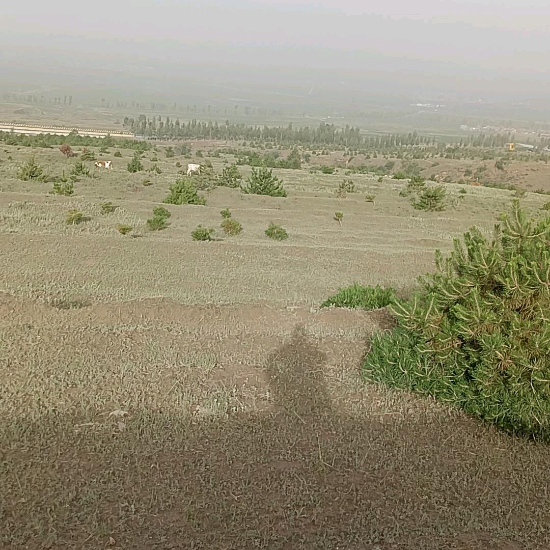 重新开始东山再起