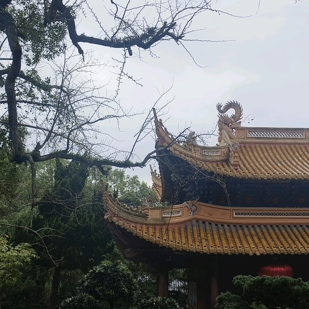 鈺(ღ˘⌣˘ღ)鑫