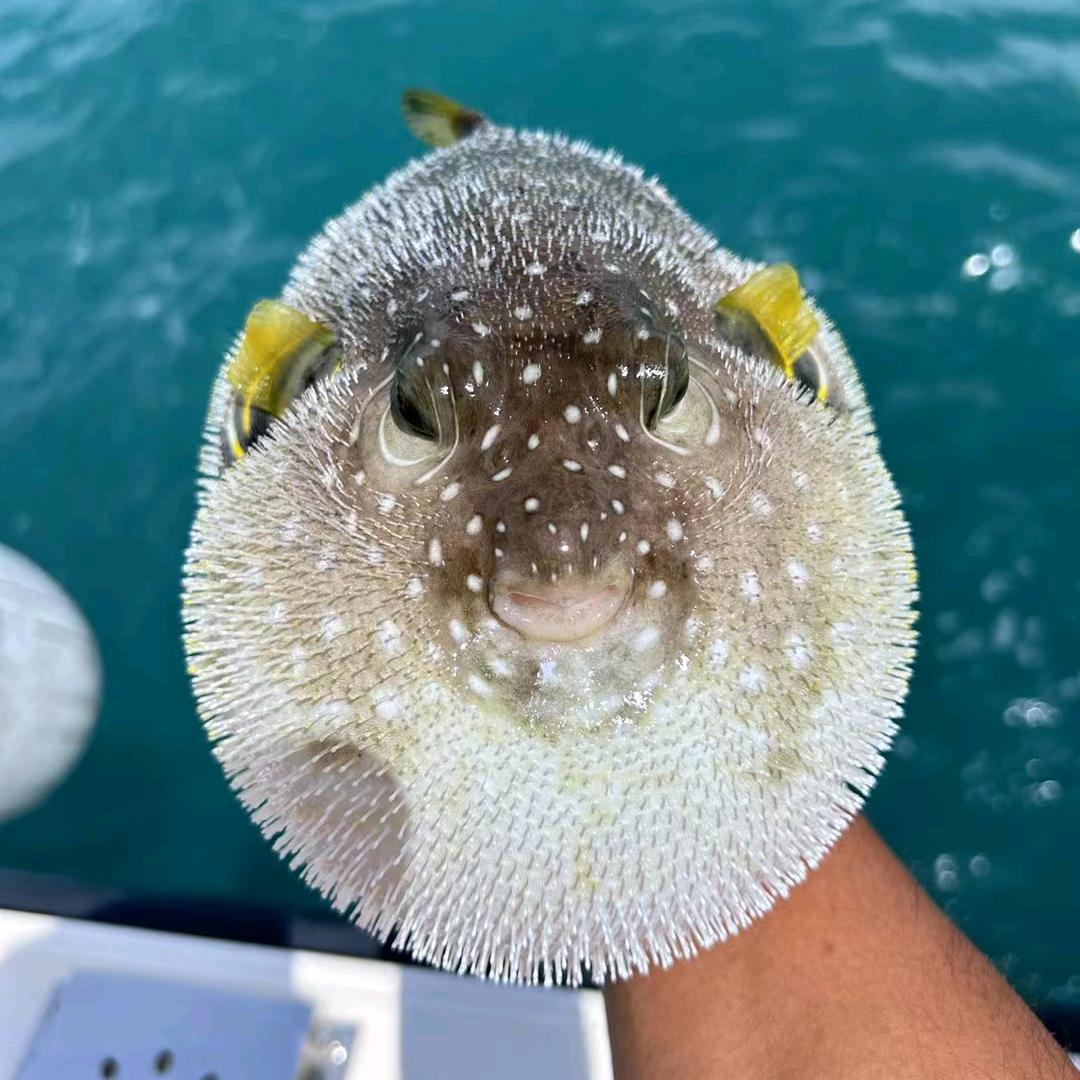 三亚翰天海钓场 阿垚