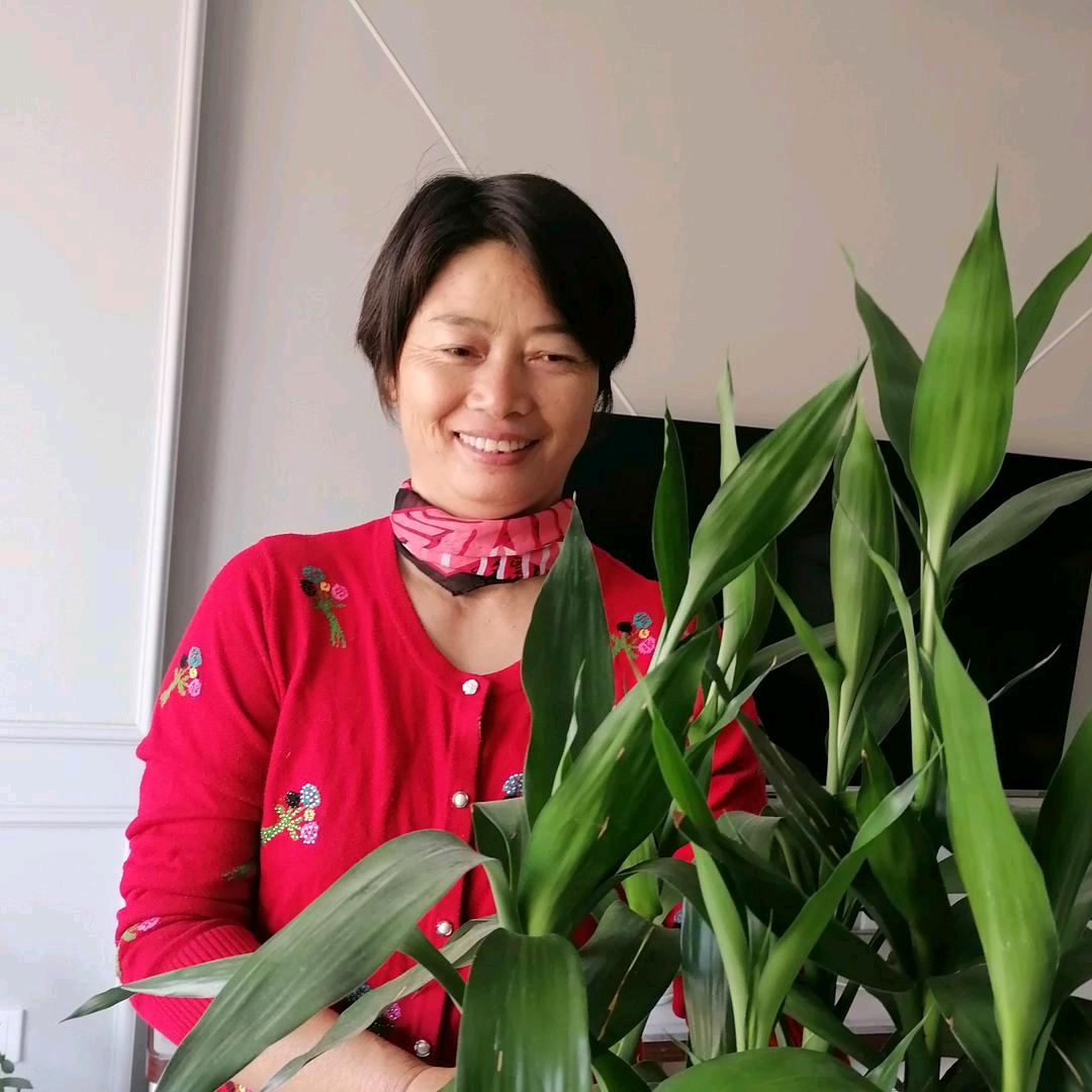 林花妹