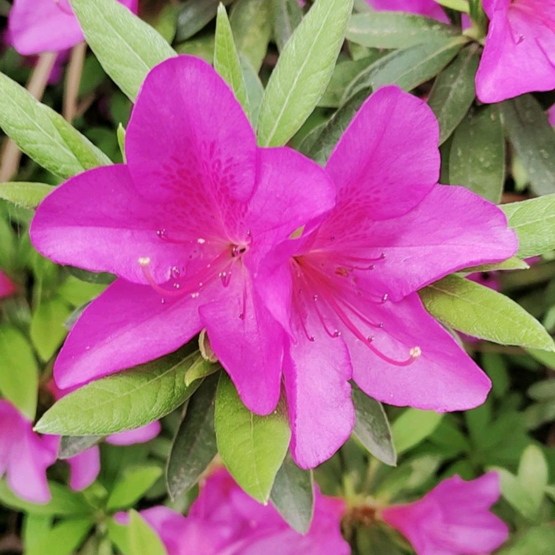 沿途欣赏