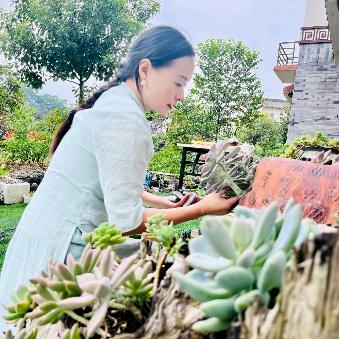 彭祖山膳食术馆