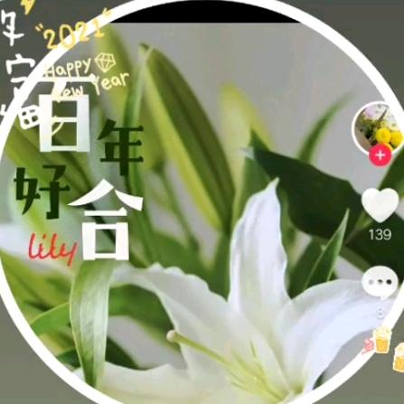 遇见🎀
