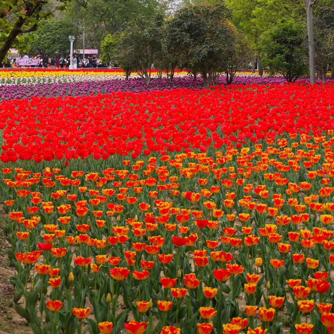 若希❤️❤️若涵❤️❤️