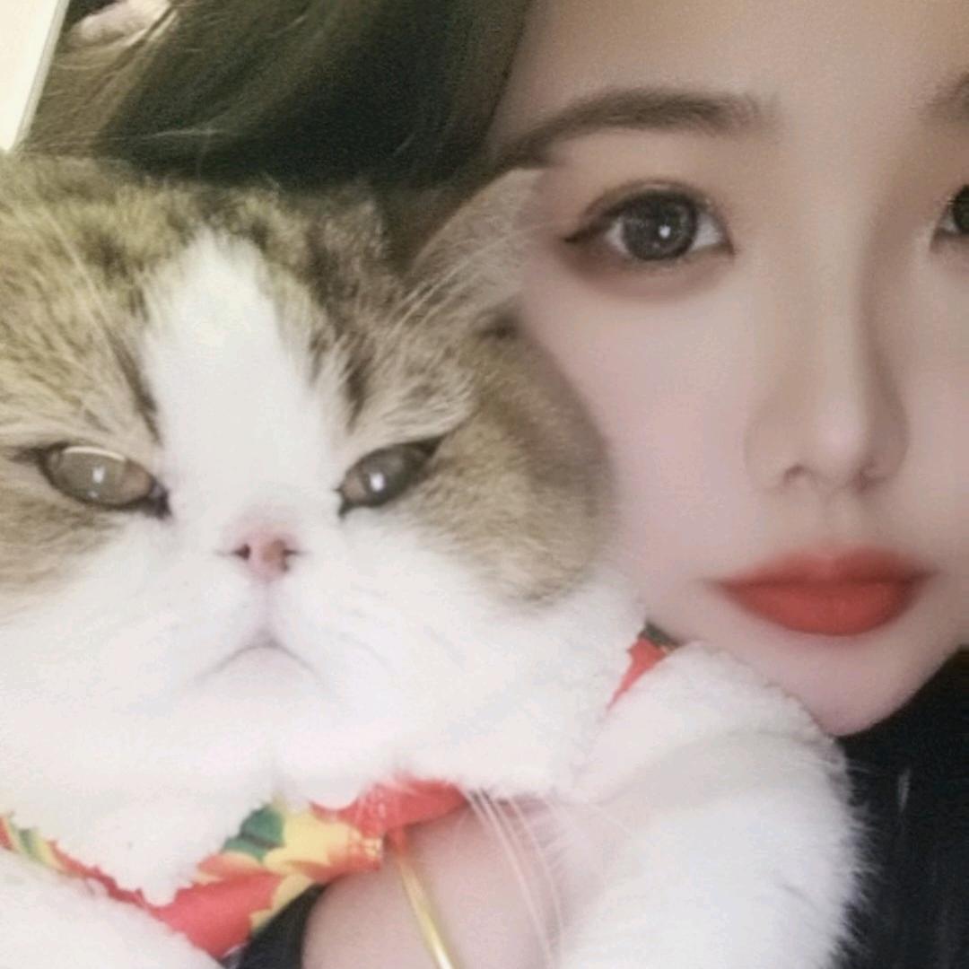 💁‍♀️🐱王北北的监护人