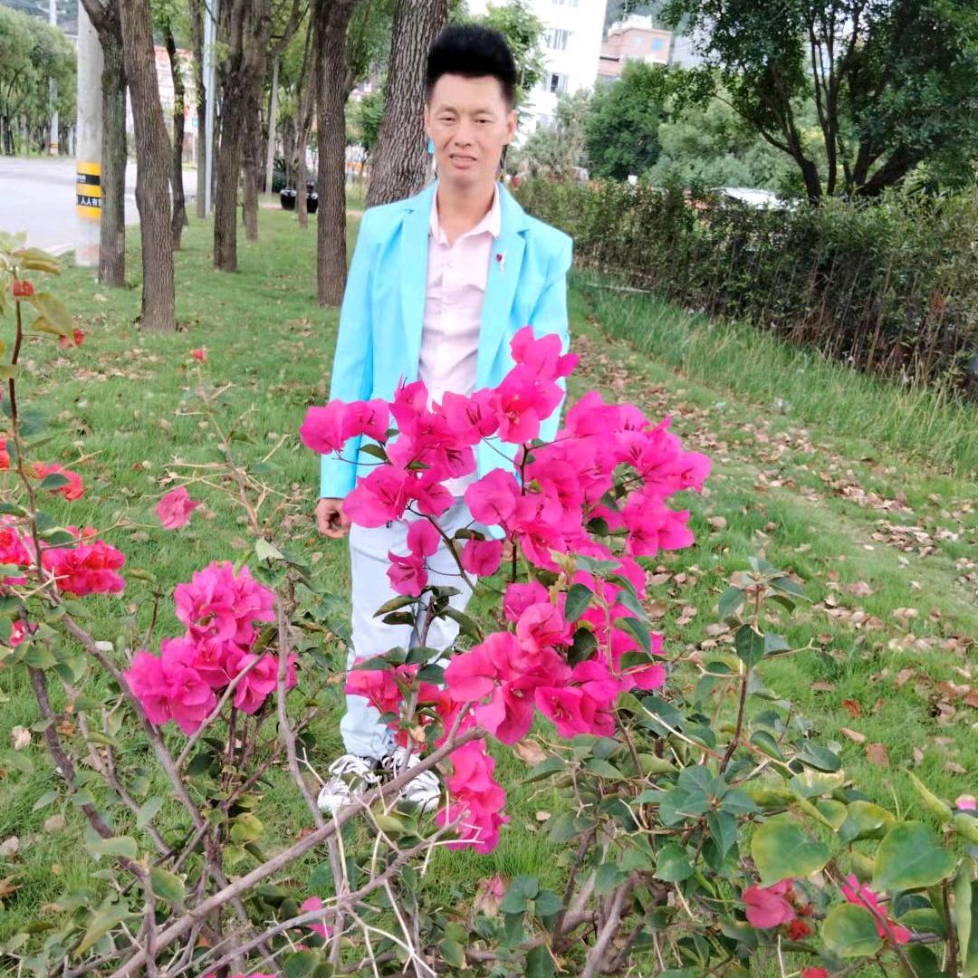 阳光男孩