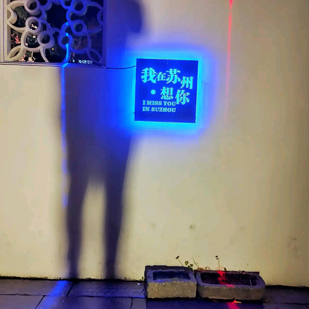 聪娃