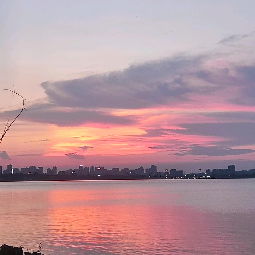 难忘夏天🐰🦁