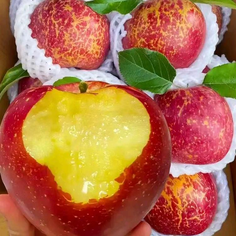 旺旺宠物用品供应链