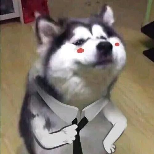 二狗子的一天