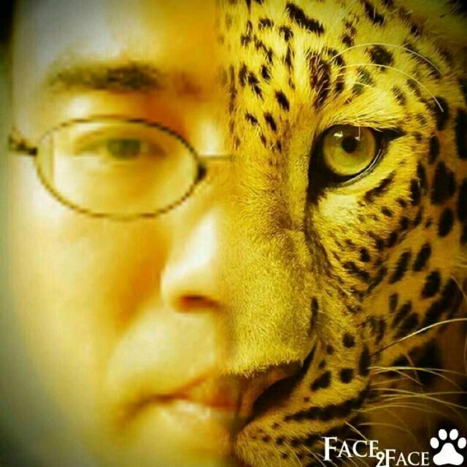 善良的鲨鱼