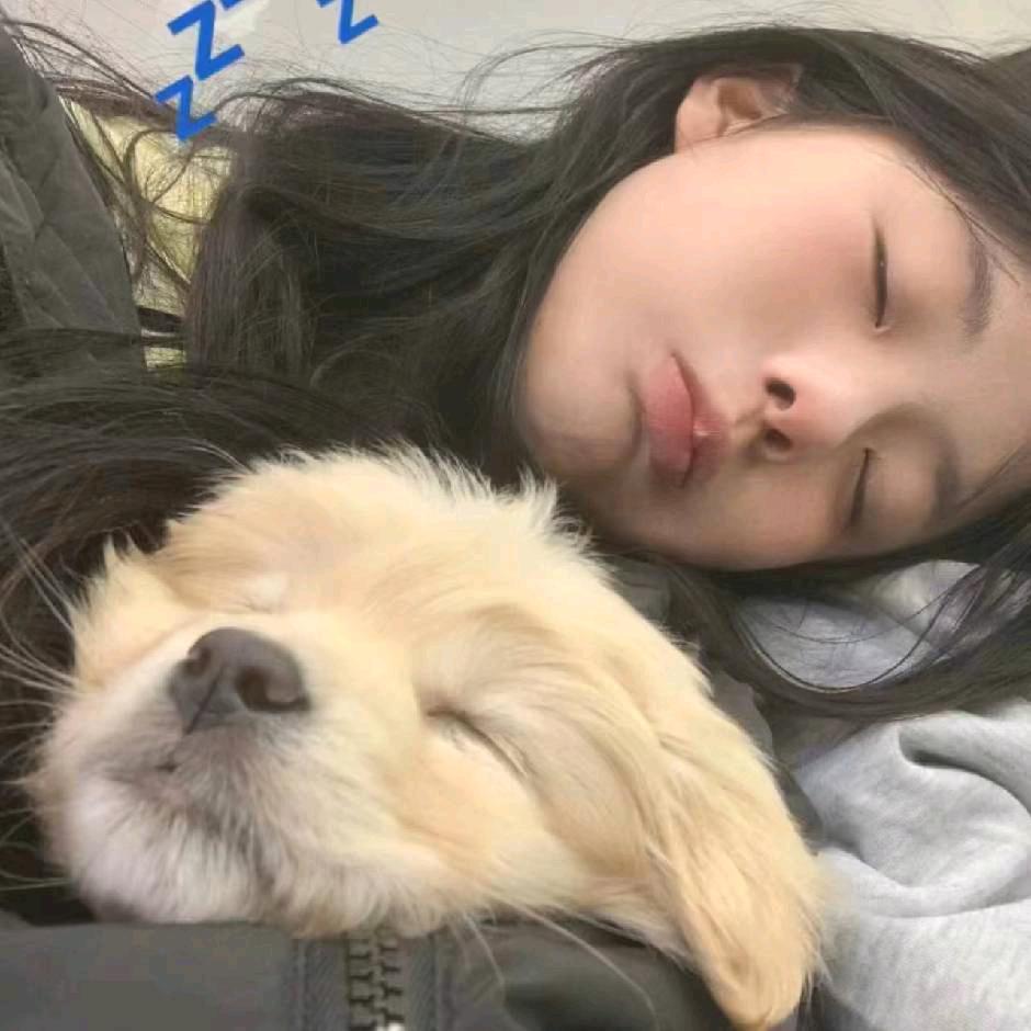 别管我睡觉💤