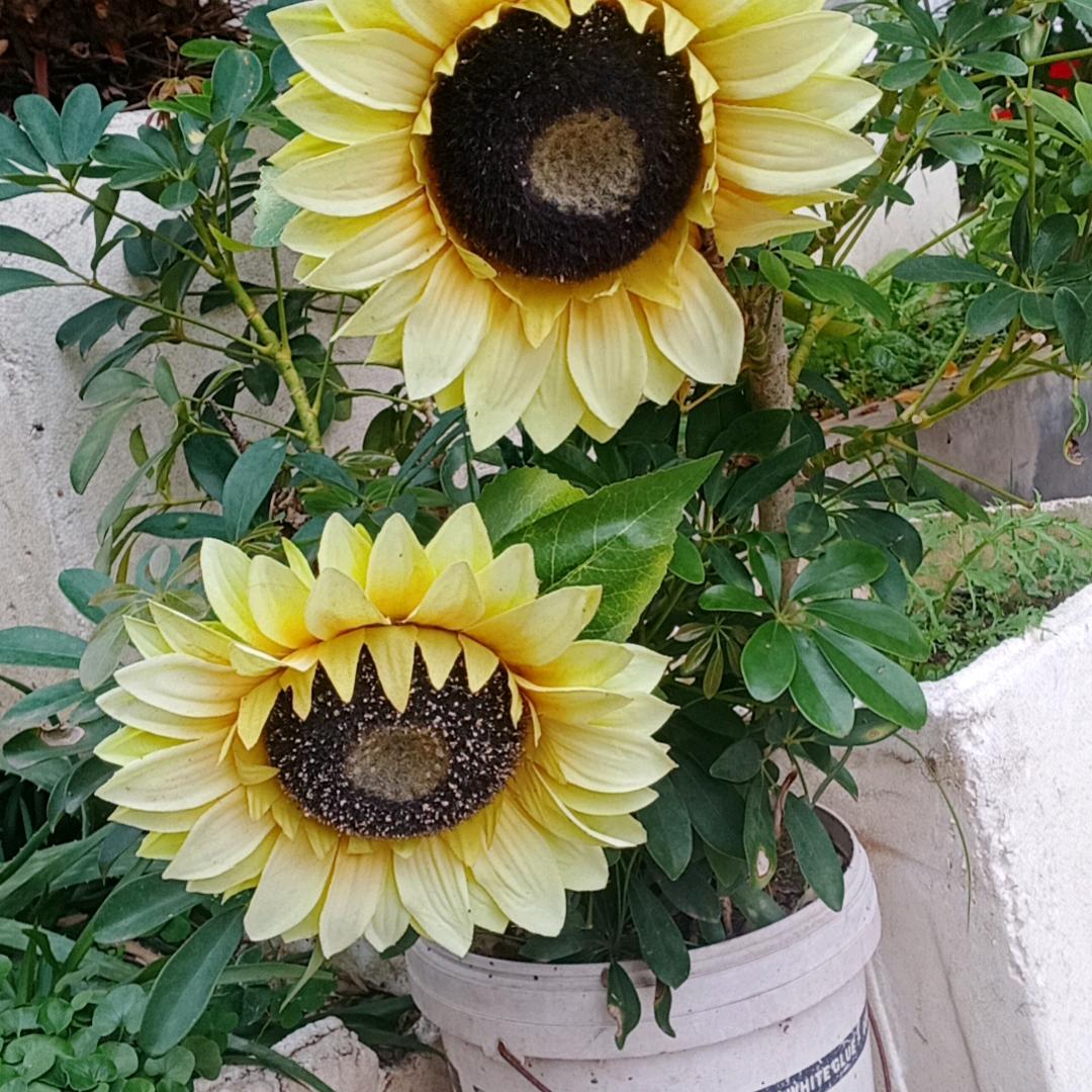 别拿底线开玩笑