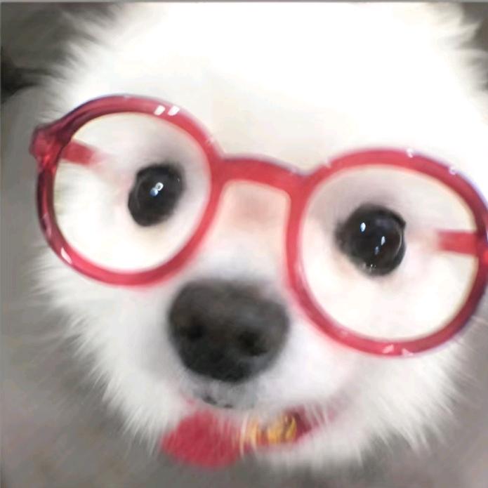 我崽了你啊