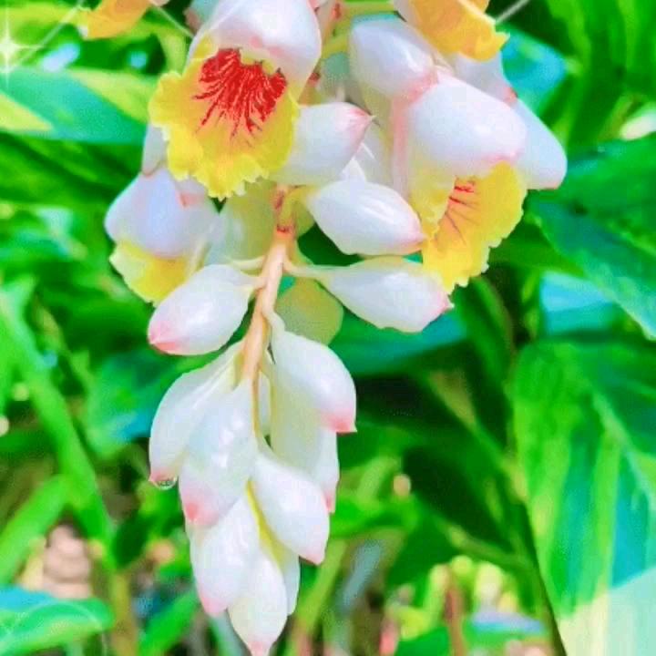 我爱你