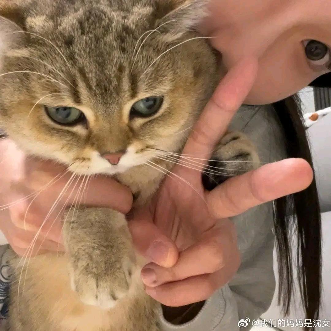 不知名网友睡不醒